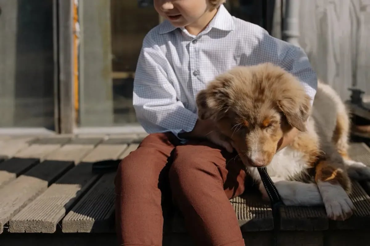 10 Benefits of Therapy Dogs: Best Therapy Dogs