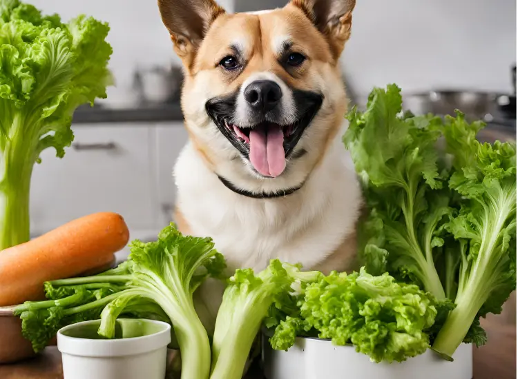 Is Celery Good For Dogs