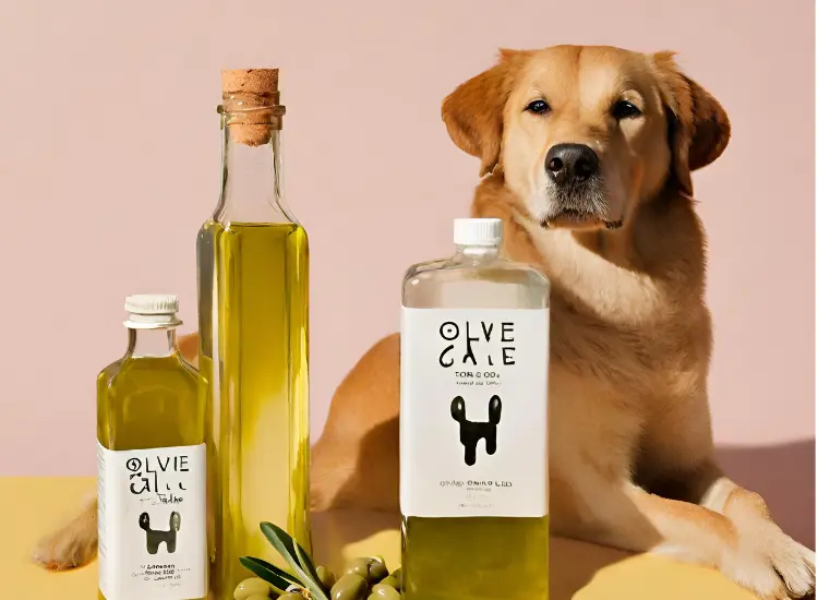 Is Olive Oil Good For Dogs Discover 8 Benefits And Risks